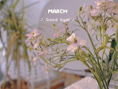 -COTTON CAFE(德信·中外公寓店)