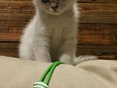 android_upload_pic-MIKAKU(万达广场上海宝山店)