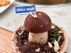 蘑菇可可豆花-大理董·董家小厨野生菌火锅(古城旗舰店)
