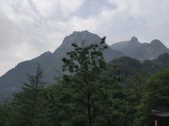 -陕西省红河谷森林公园