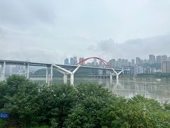 -菜园坝水果市场