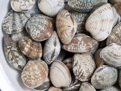 -人民广场-地下停车场