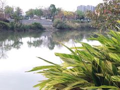 -佛山市第一中学