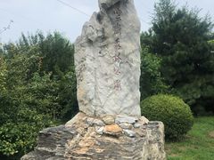 -云岗森林公园