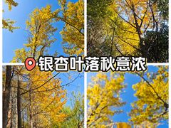 -杭州电子科技大学(下沙校区)
