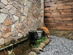 -竹野·上|老字号全竹宴