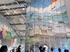 -吴淞炮台湾湿地森林公园烧烤区