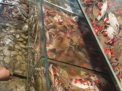 -仙螺岛海鲜自助餐厅(总店)
