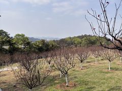 -广州莲花山旅游区