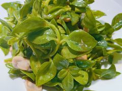 -来相会饺子·新辽菜(甘家口店)