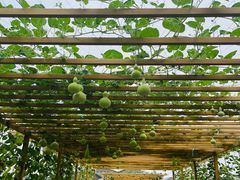 -中国天府农业博览园