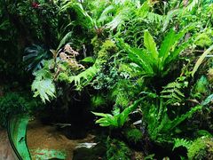 -太平洋海底世界