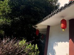 -青龙山国家森林公园