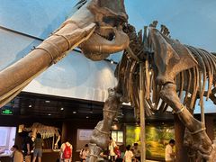 -国家自然博物馆