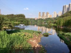 -重庆彩云湖湿地公园