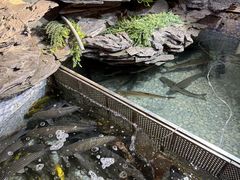 -山水茶艺馆·点心粤菜·30年老字号