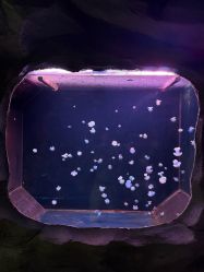 -Zoolung Zoolung动物主题公园(海信广场店)