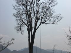 -黄色小屋