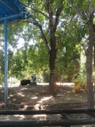 -大望京儿童游乐场