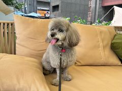 -墨纪Mojí墨西哥餐厅(官舍店)