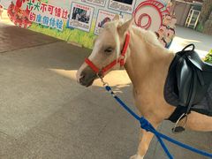 -杭州乐园