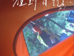 -重庆睡佛山森林公园