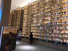-深影国际影城(学院南路店CGS中国巨幕店)