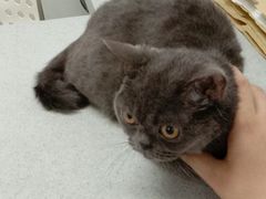 -达爱动物医院·犬猫分区·CT·复杂眼科(远洋山水分院)