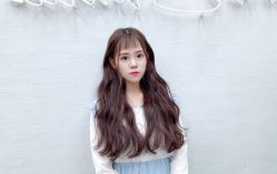 -L+奥拉接发烫发染发