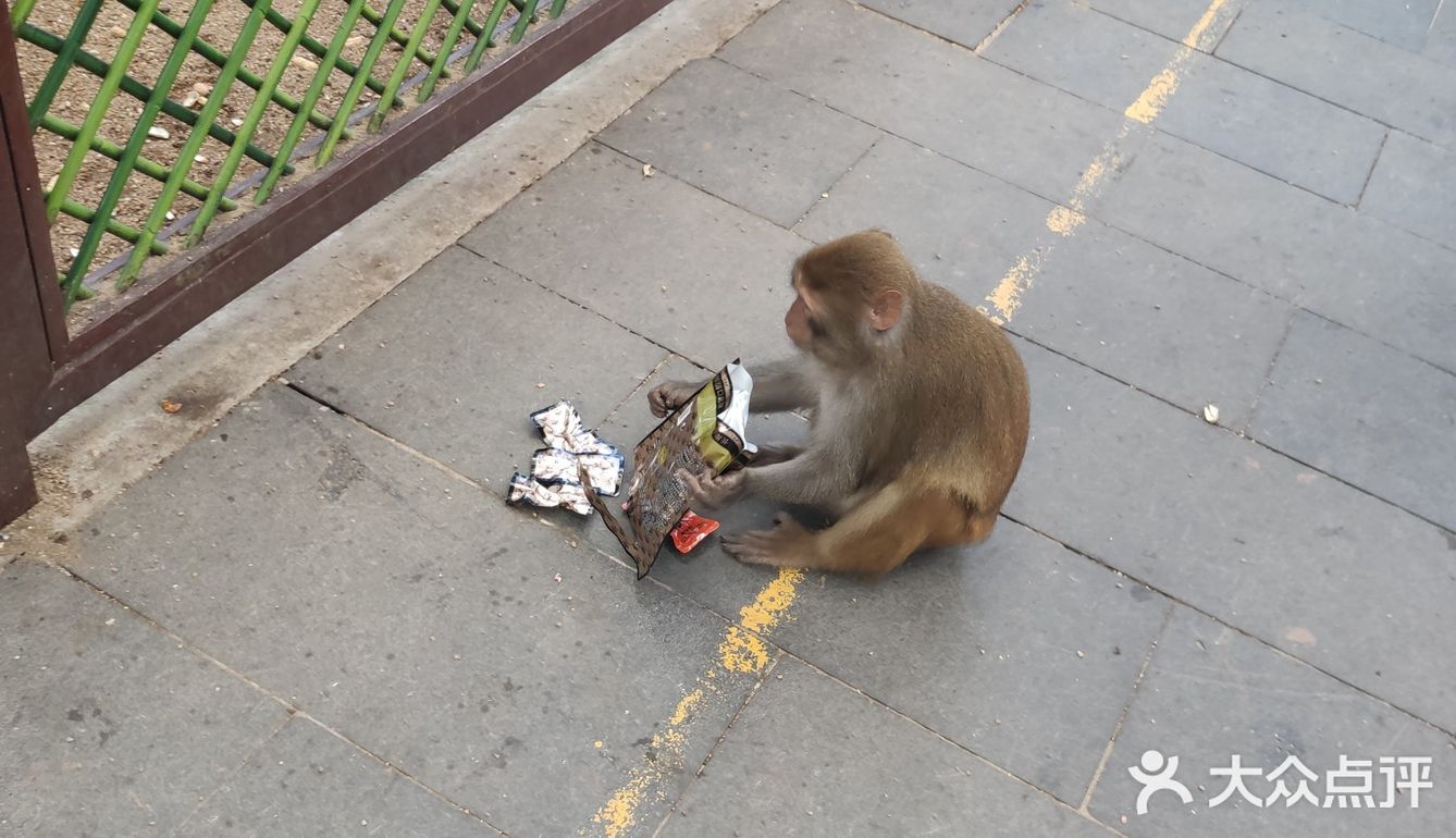 猴岛，万宁市陵水黎族自治县