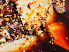 -老字号怡玺·藿香雅鱼(20年雅安店)