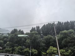 -遇见小院—虹鳟鱼•农家菜(怀柔店)