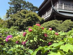 -龙华寺