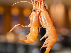 -京旬海鲜放题·铁板烧自助餐厅