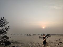 -宝安西湾红树林湿地公园