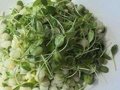 -YAFEE雅菲·粤菜·湘菜·融合菜(魏公村店)