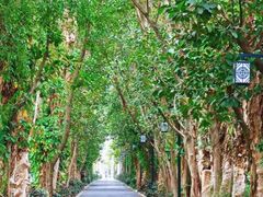 -武清南湖绿博园