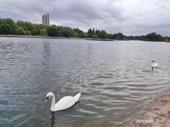 -海德公园