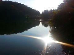 android_upload_pic-广州市石门国家森林公园