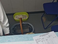 -半岛宠物医院24小时(科华中路店)