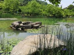 -桃花岭景区