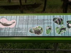 -西湖风景区-江洋畈生态公园