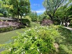 -上海醉白池公园