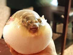 -永安鱼庄·镇江菜(东吴路店)