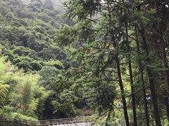 -千泷沟大瀑布旅游区