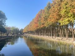 -柳鹭田园区