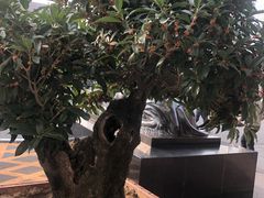 -燕莎友谊商城(亮马桥店)