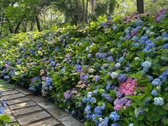 -沈阳植物园
