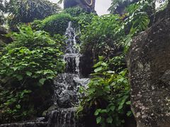 -海口火山口国家地质公园