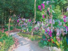 -广州市石门国家森林公园